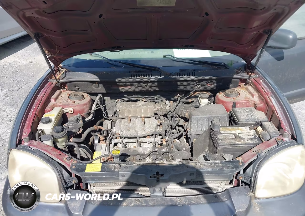 2004 Hyundai Santa Fe Gls VIN:KM8SC73DX4U775889 - 10