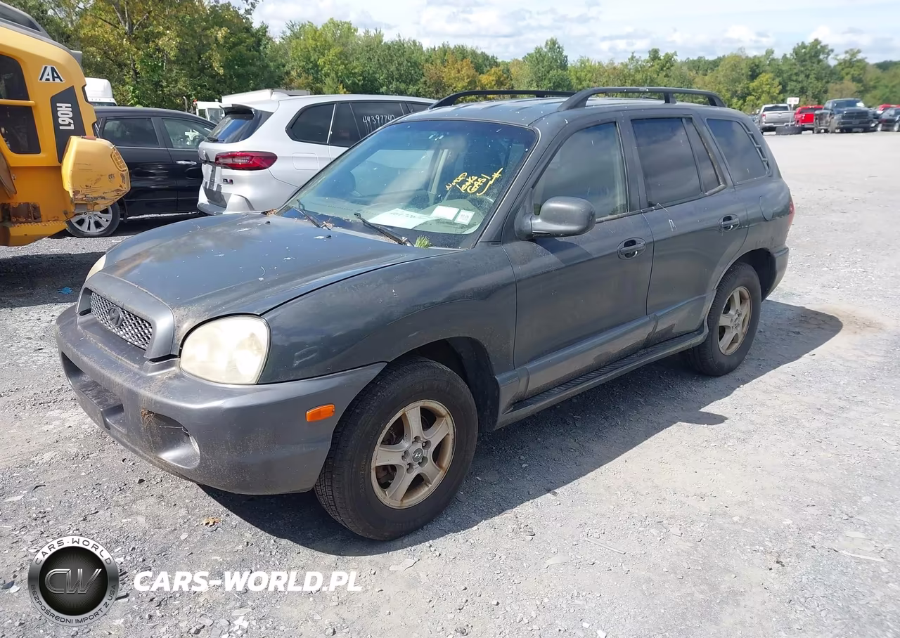 2004 Hyundai Santa Fe Gls VIN:KM8SC73DX4U775889 - 2