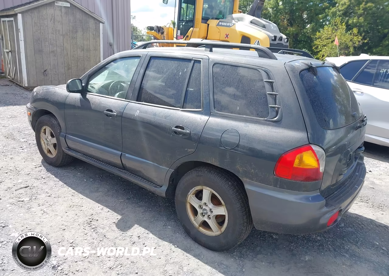 2004 Hyundai Santa Fe Gls VIN:KM8SC73DX4U775889 - 3