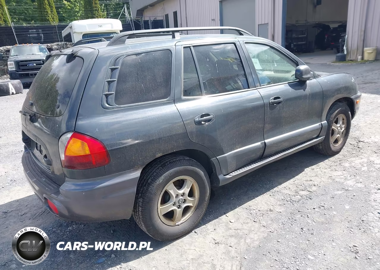 2004 Hyundai Santa Fe Gls VIN:KM8SC73DX4U775889 - 4