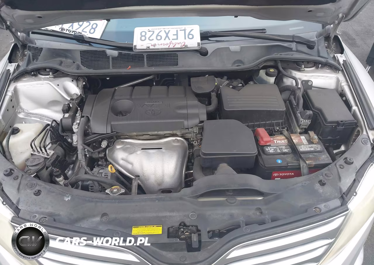 2011 Toyota Venza VIN:4T3ZA3BB9BU045313 - 10