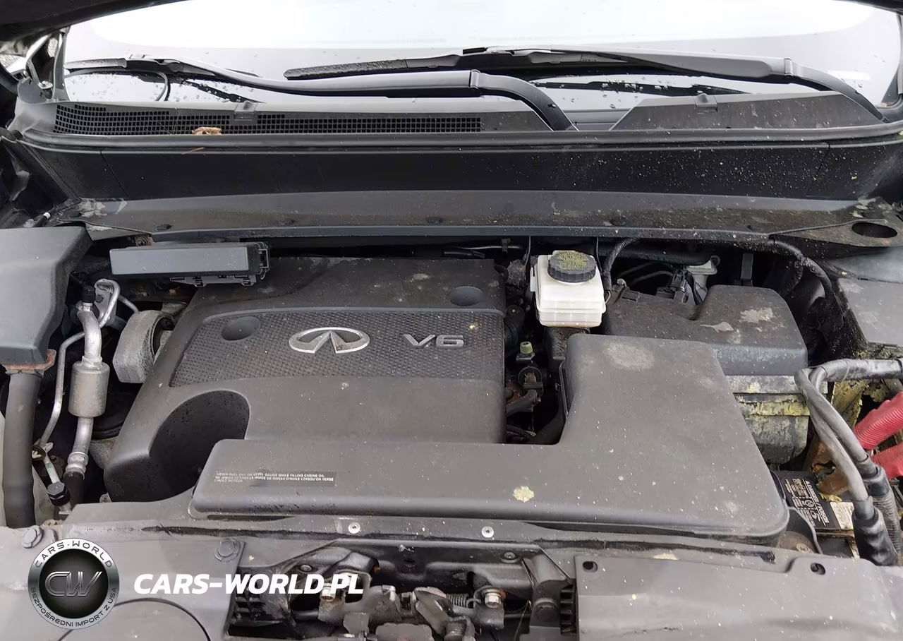 2016 Infiniti Qx60 VIN:5N1AL0MM4GC524023 - 10