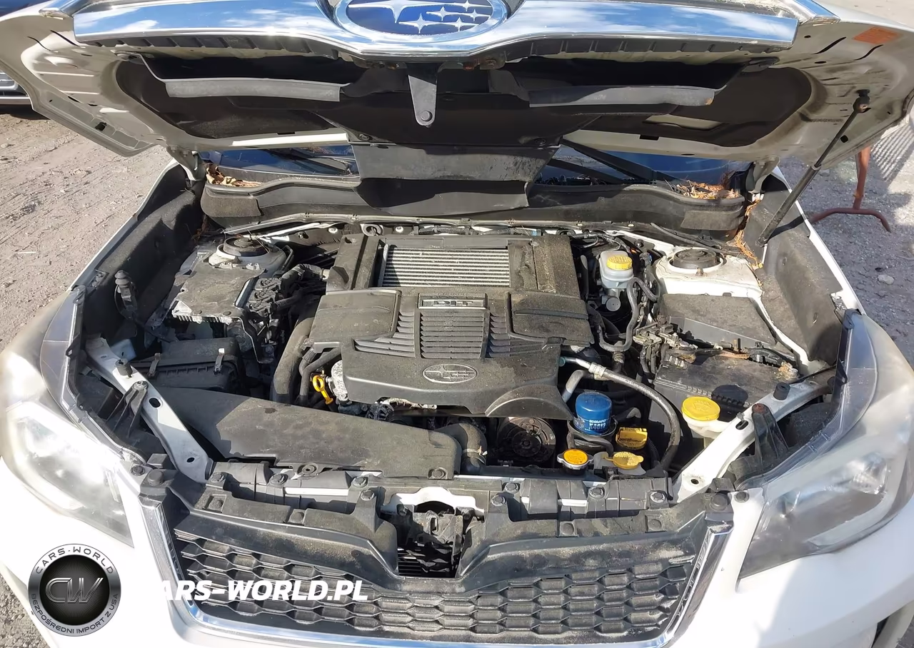 2015 Subaru Forester 2.0Xt Touring VIN:JF2SJGUC5FH407617 - 10