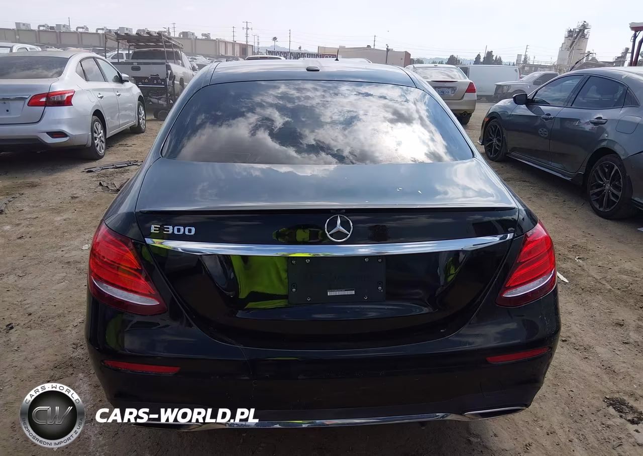 2018 Mercedes-Benz E 300 VIN:WDDZF4JB8JA341449 - 16