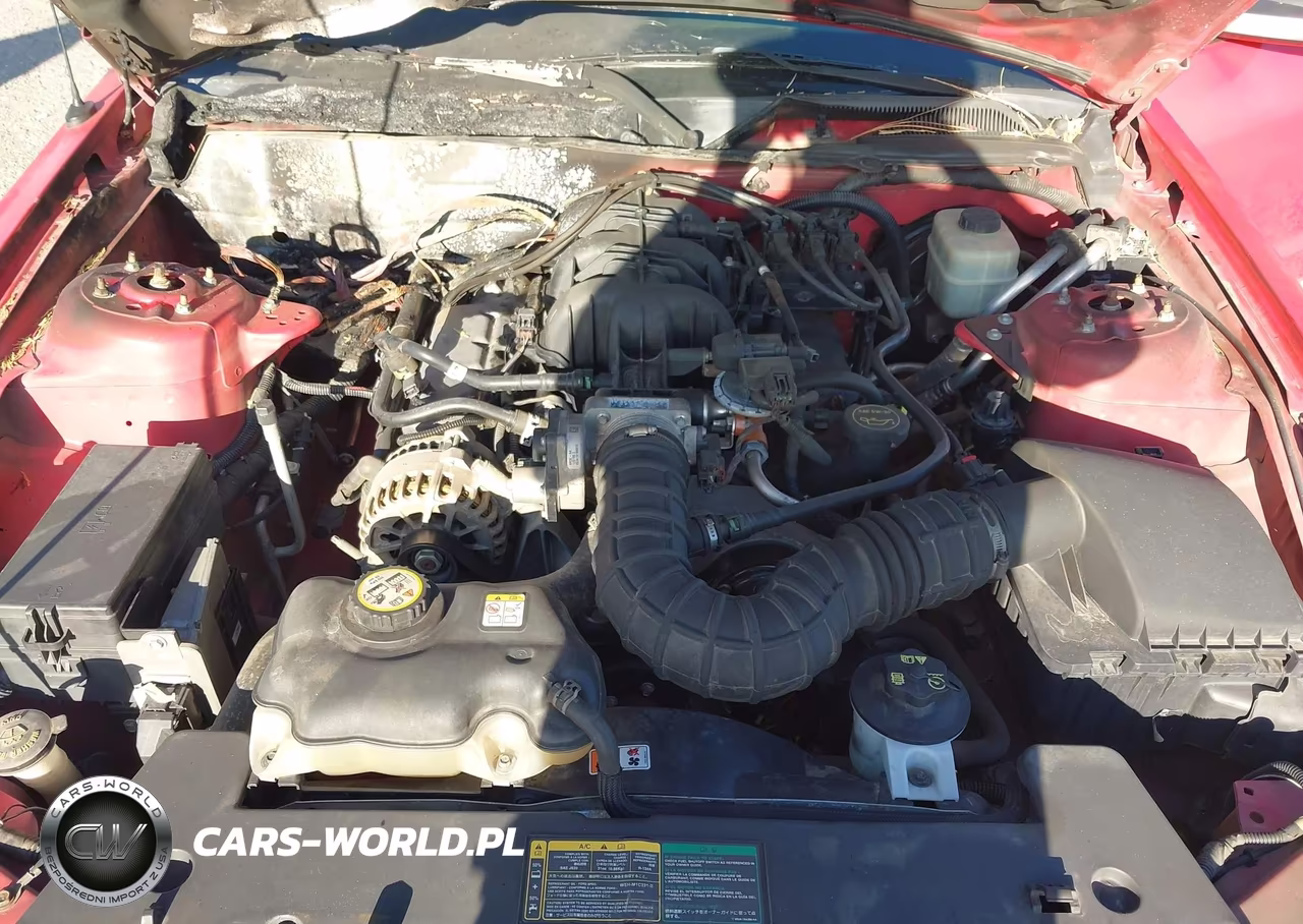 2006 Ford Mustang V6 VIN:1ZVFT80N965218992 - 10