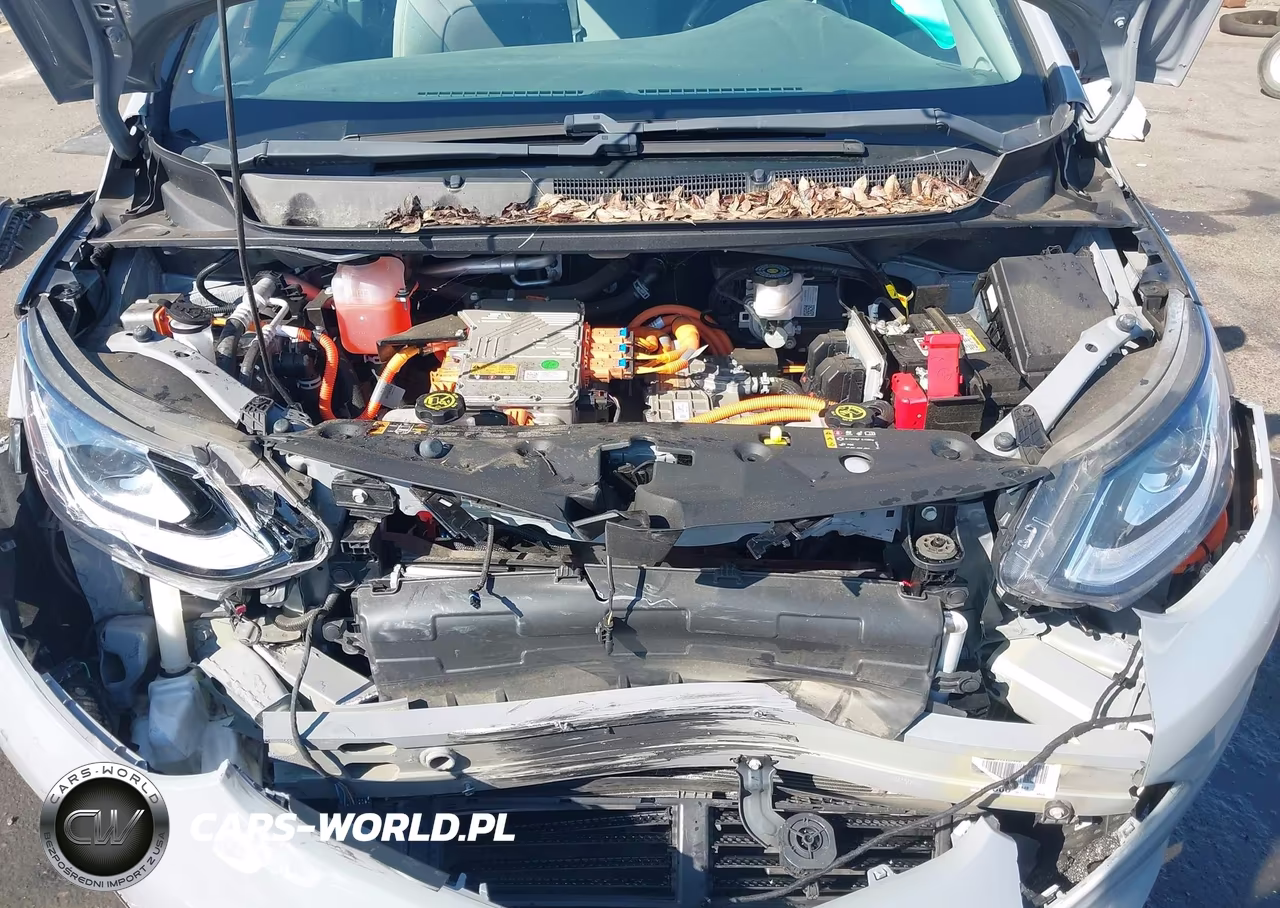 2020 Chevrolet Bolt Ev Fwd Lt VIN:1G1FY6S02L4126241 - 10