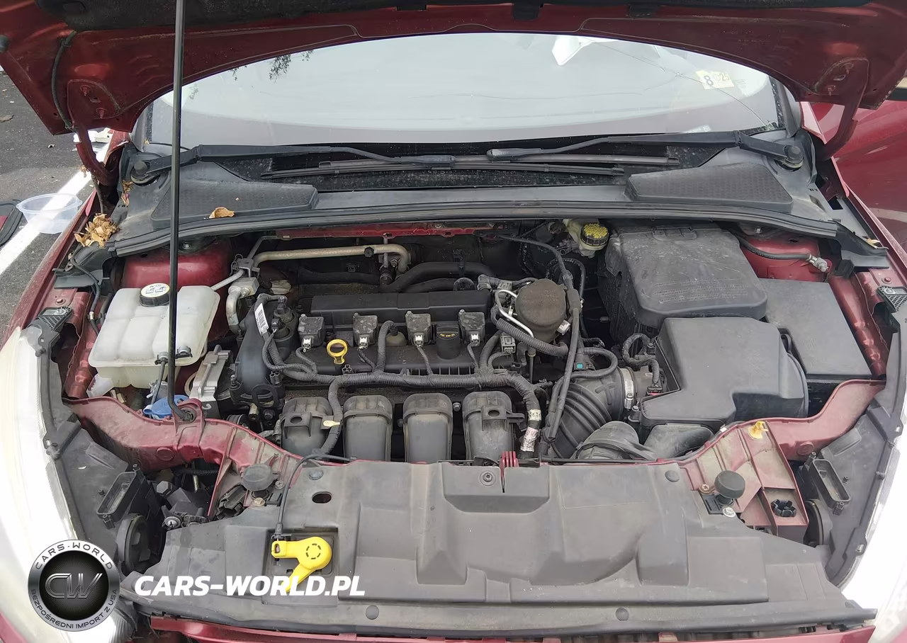 2015 Ford Focus Se VIN:1FADP3K20FL289195 - 10
