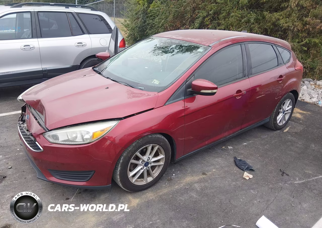 2015 Ford Focus Se VIN:1FADP3K20FL289195 - 2