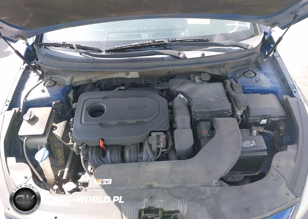 2016 Hyundai Sonata Se VIN:5NPE24AF3GH319898 - 10