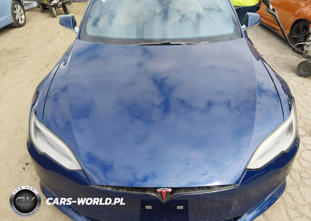 2016 Tesla Model S 60-70-75-85 VIN:5YJSA1E10GF150943 - 10