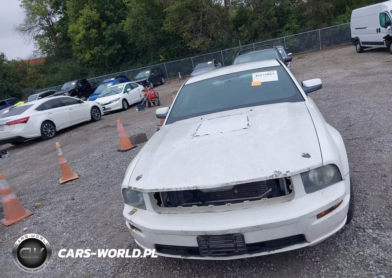 2006 Ford Mustang Gt VIN:1ZVFT82H165162618 - 12
