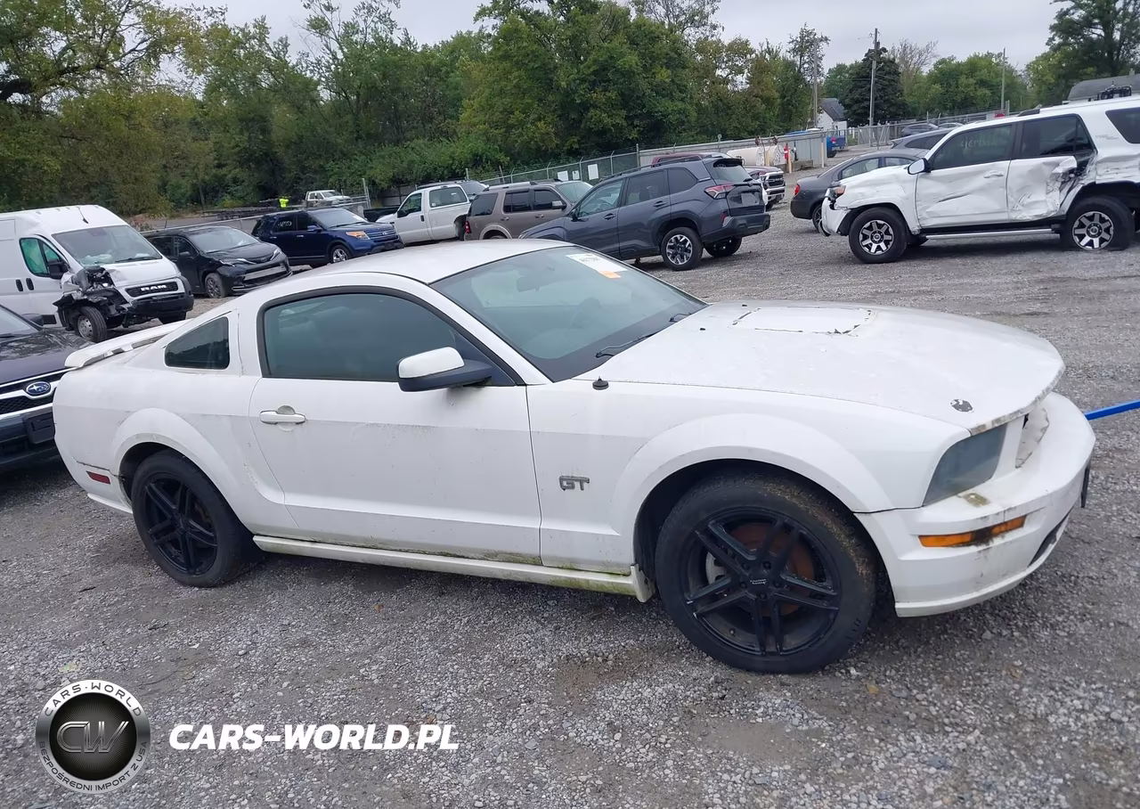 2006 Ford Mustang Gt VIN:1ZVFT82H165162618 - 13
