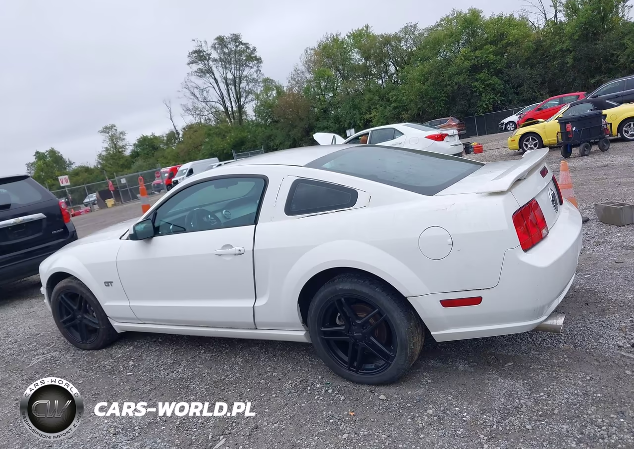 2006 Ford Mustang Gt VIN:1ZVFT82H165162618 - 14