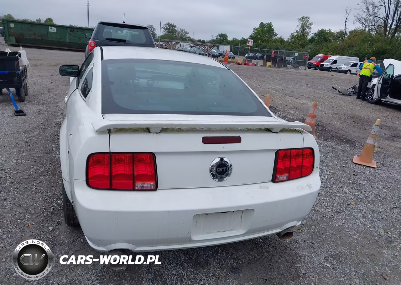 2006 Ford Mustang Gt VIN:1ZVFT82H165162618 - 16