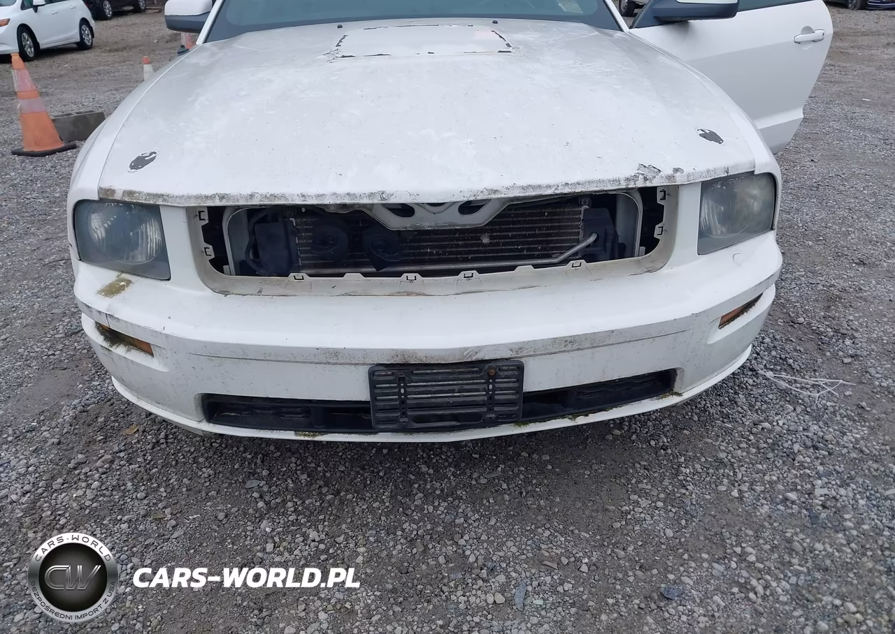 2006 Ford Mustang Gt VIN:1ZVFT82H165162618 - 17