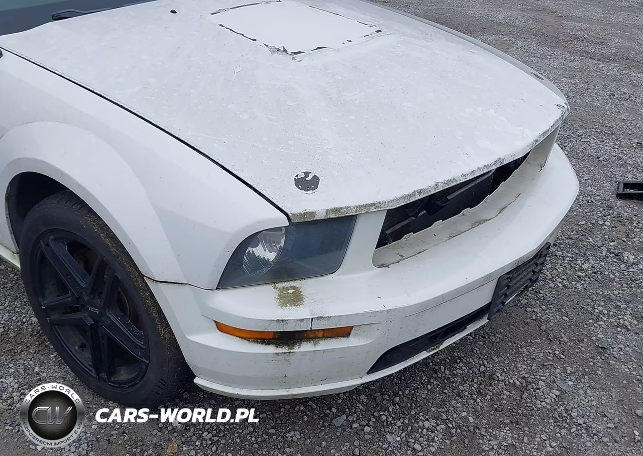 2006 Ford Mustang Gt VIN:1ZVFT82H165162618 - 18