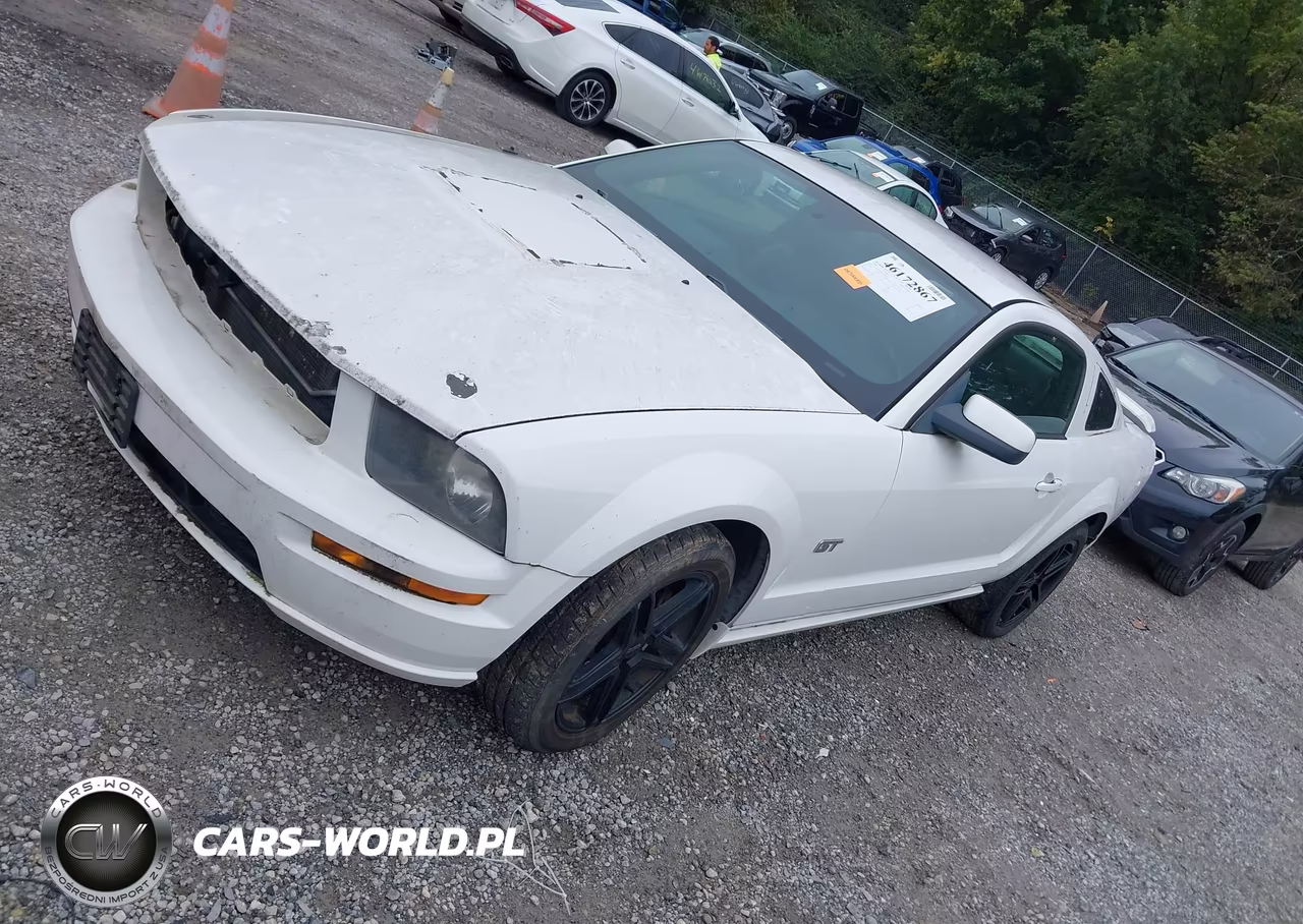 2006 Ford Mustang Gt VIN:1ZVFT82H165162618 - 2