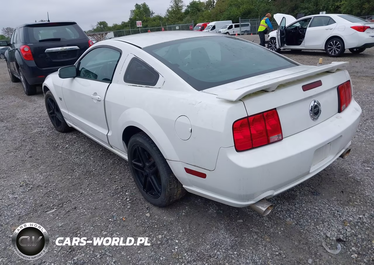 2006 Ford Mustang Gt VIN:1ZVFT82H165162618 - 3