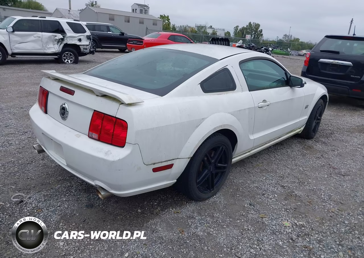 2006 Ford Mustang Gt VIN:1ZVFT82H165162618 - 4