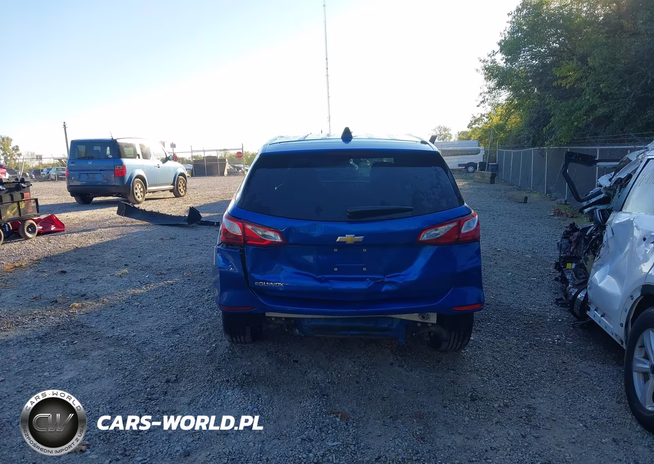 2019 Chevrolet Equinox Ls VIN:3GNAXHEV3KS590362 - 17