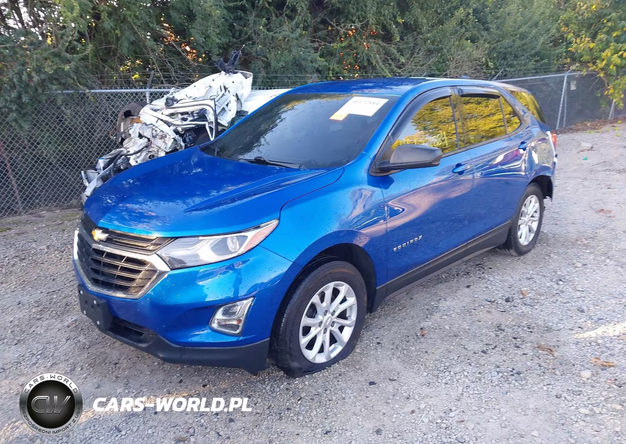 2019 Chevrolet Equinox Ls VIN:3GNAXHEV3KS590362 - 2