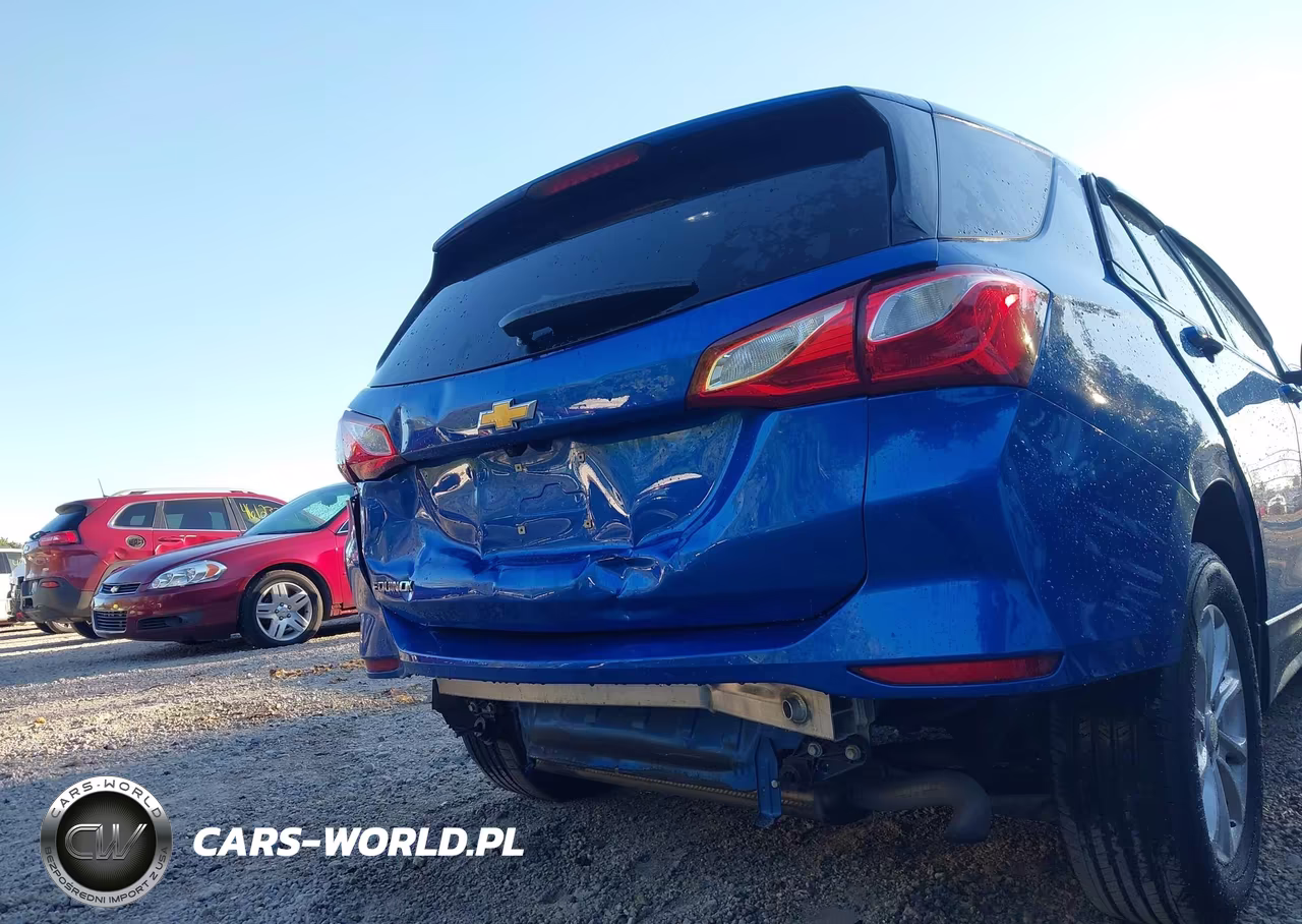 2019 Chevrolet Equinox Ls VIN:3GNAXHEV3KS590362 - 20