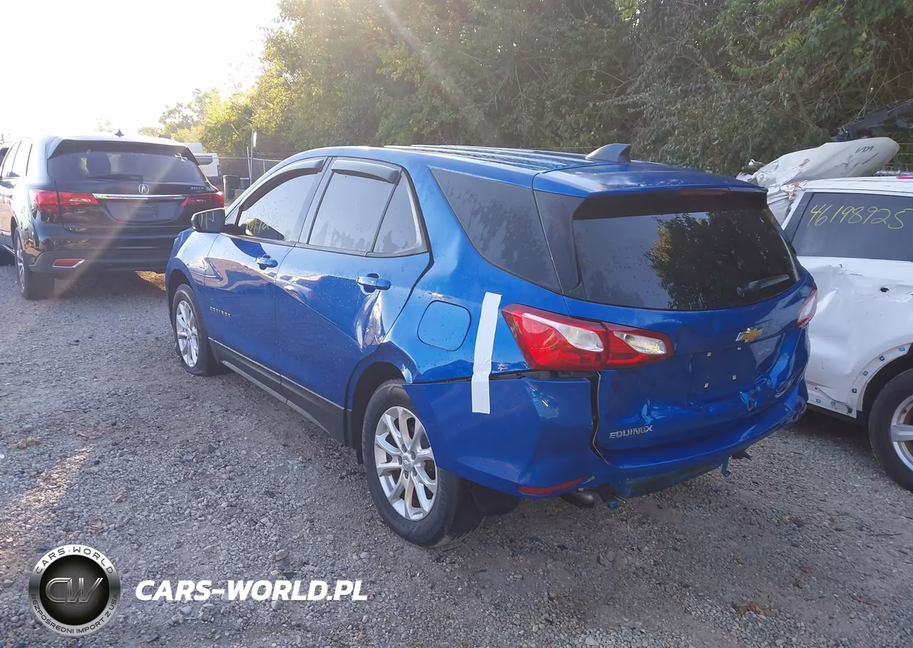 2019 Chevrolet Equinox Ls VIN:3GNAXHEV3KS590362 - 3