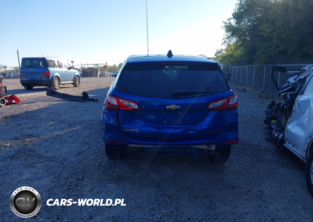 2019 Chevrolet Equinox Ls VIN:3GNAXHEV3KS590362 - 6