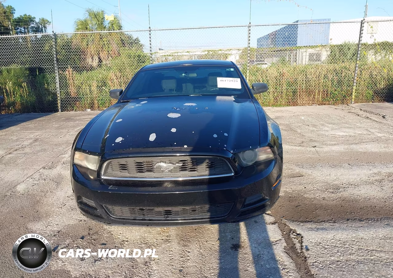 2013 Ford Mustang V6 VIN:1ZVBP8AM0D5256438 - 12
