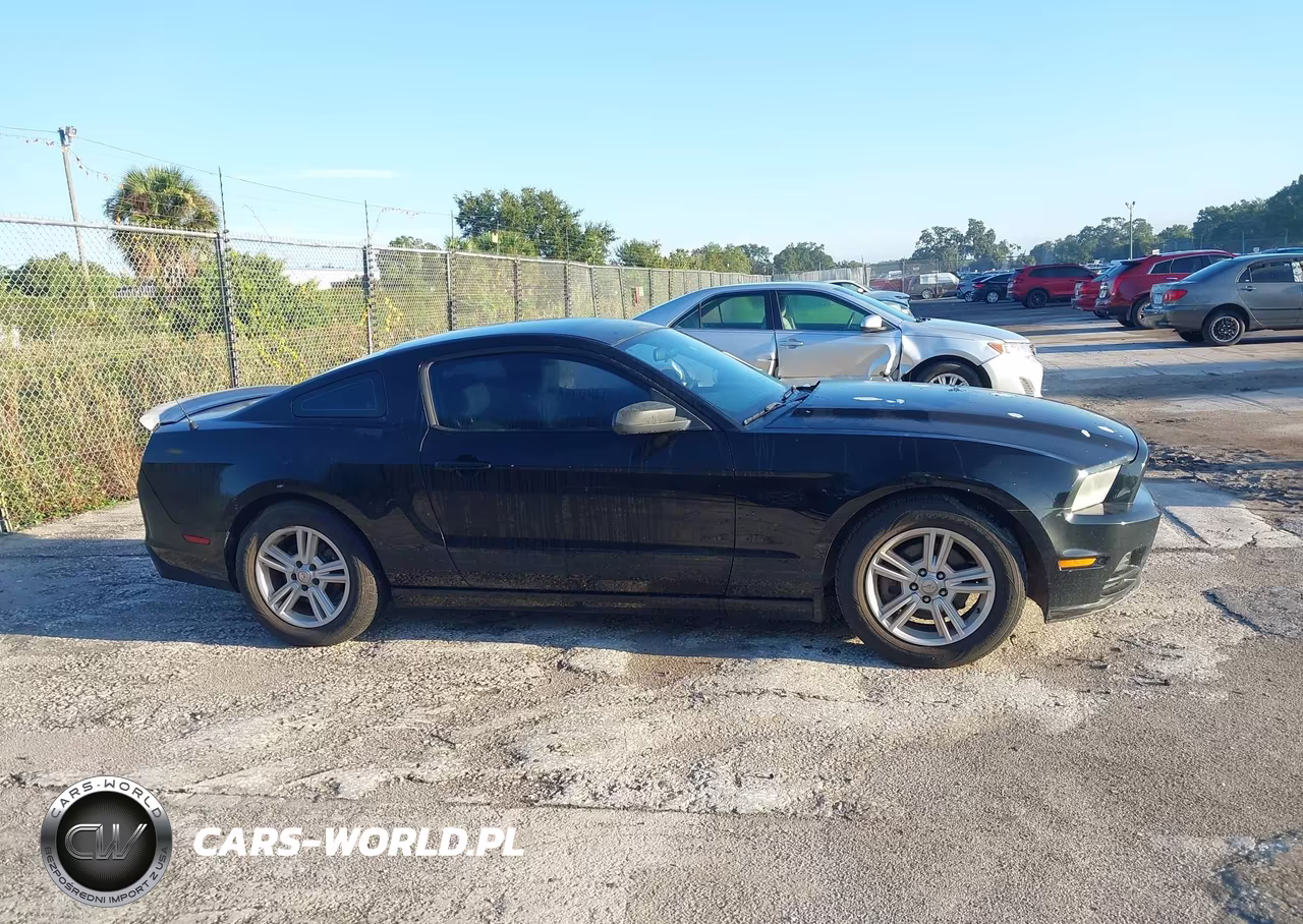 2013 Ford Mustang V6 VIN:1ZVBP8AM0D5256438 - 13
