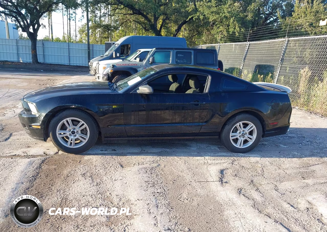 2013 Ford Mustang V6 VIN:1ZVBP8AM0D5256438 - 14