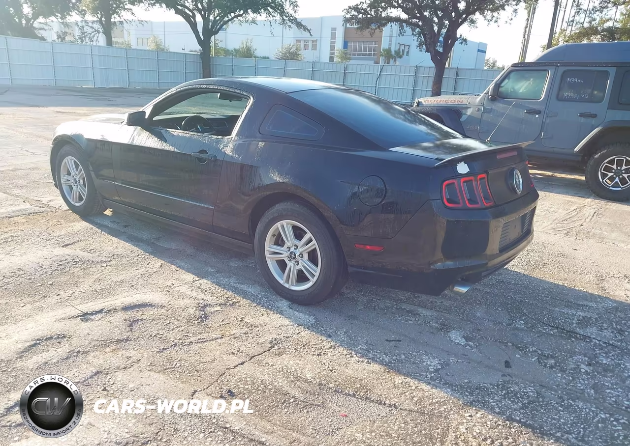 2013 Ford Mustang V6 VIN:1ZVBP8AM0D5256438 - 3