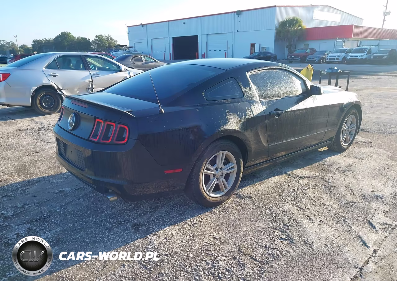 2013 Ford Mustang V6 VIN:1ZVBP8AM0D5256438 - 4