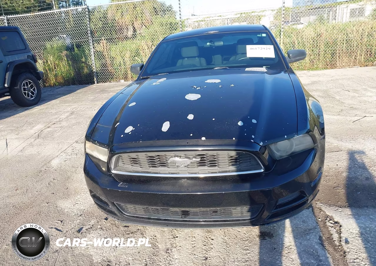 2013 Ford Mustang V6 VIN:1ZVBP8AM0D5256438 - 6