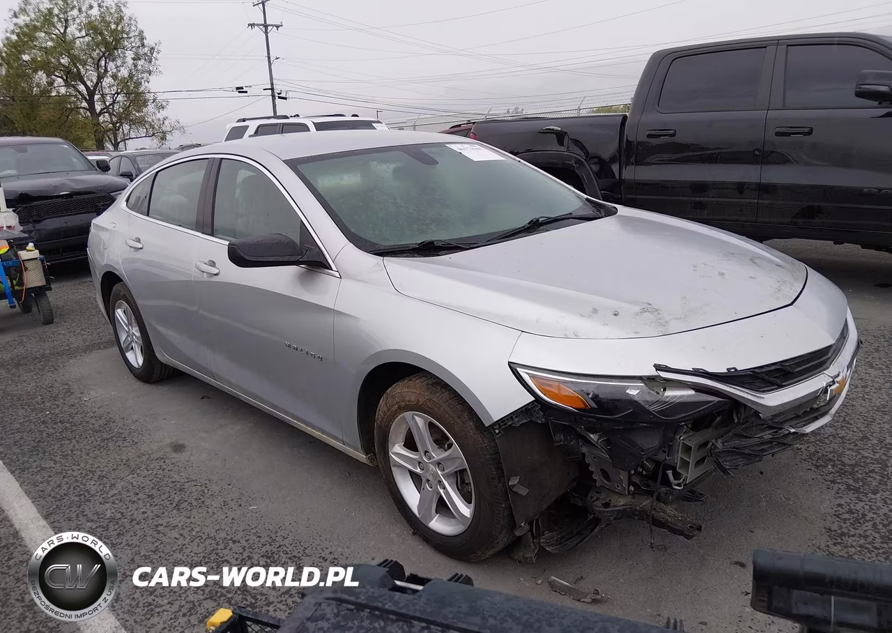 2019 Chevrolet Malibu 1Ls