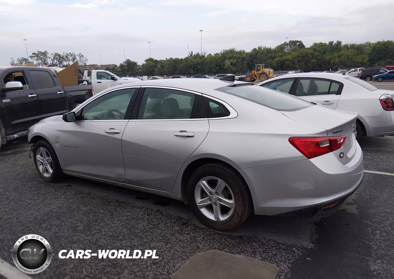 2019 Chevrolet Malibu 1Ls VIN:1G1ZB5ST3KF114511 - 13