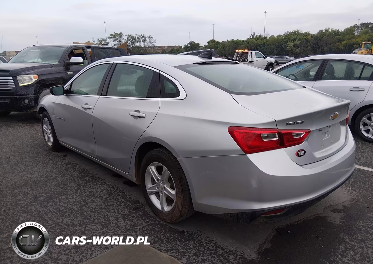 2019 Chevrolet Malibu 1Ls VIN:1G1ZB5ST3KF114511 - 3