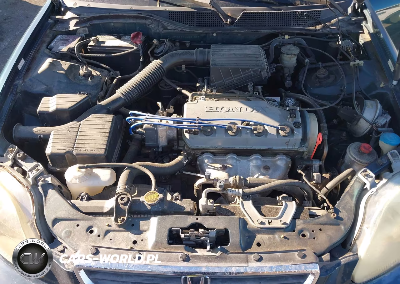 1997 Honda Civic Lx VIN:2HGEJ6677VH534627 - 10