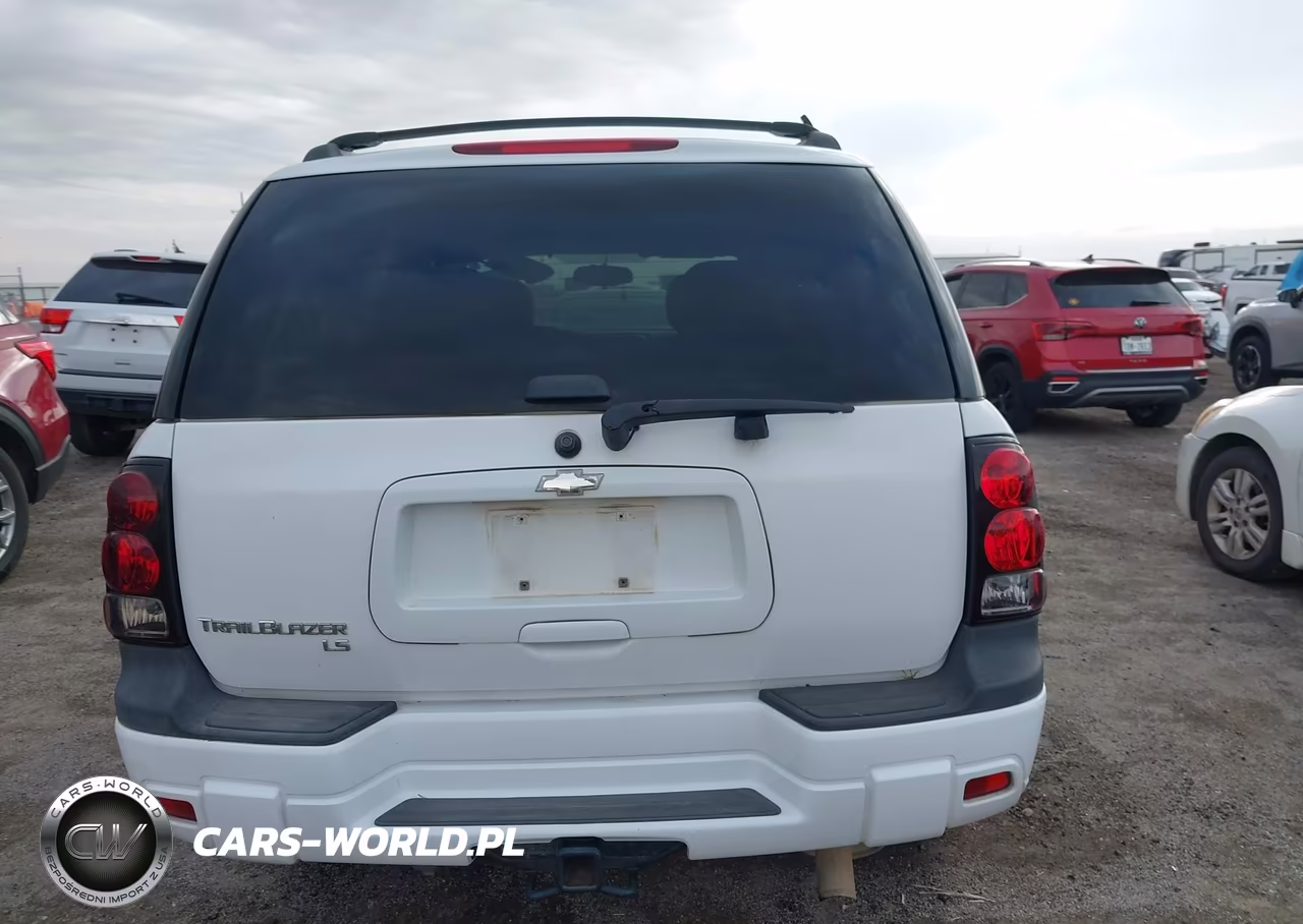 2008 Chevrolet Trailblazer Fleet VIN:1GNDT13S682129685 - 17