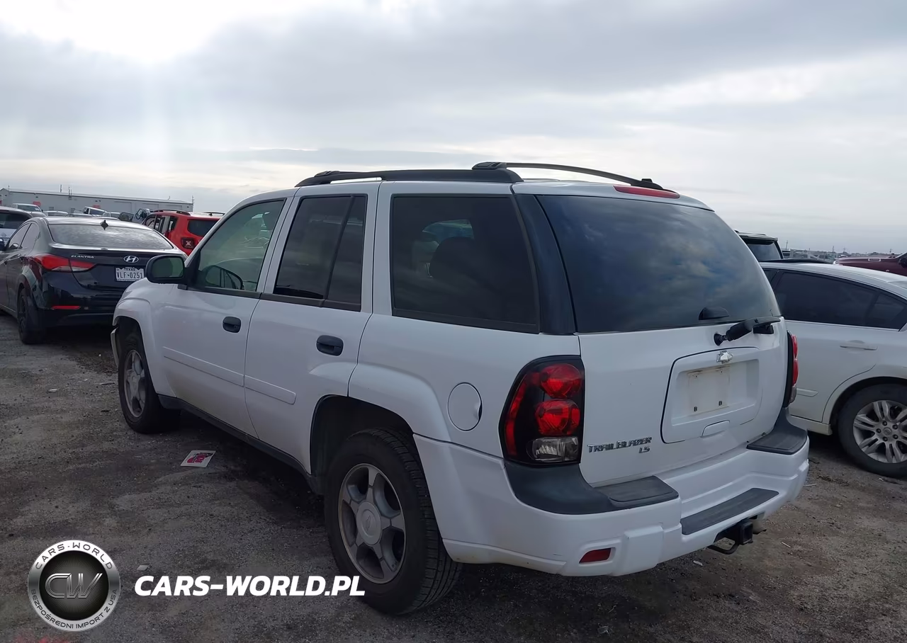 2008 Chevrolet Trailblazer Fleet VIN:1GNDT13S682129685 - 3
