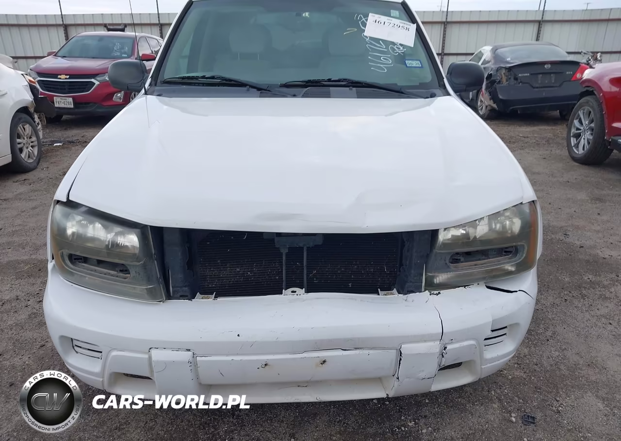 2008 Chevrolet Trailblazer Fleet VIN:1GNDT13S682129685 - 6