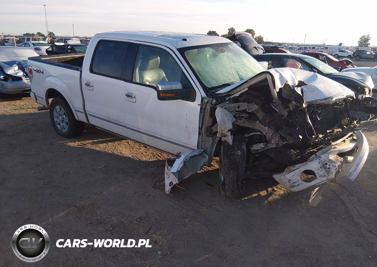 2009 Ford F-150 Fx4-King Ranch-Lariat-Platinum-Xl-Xlt