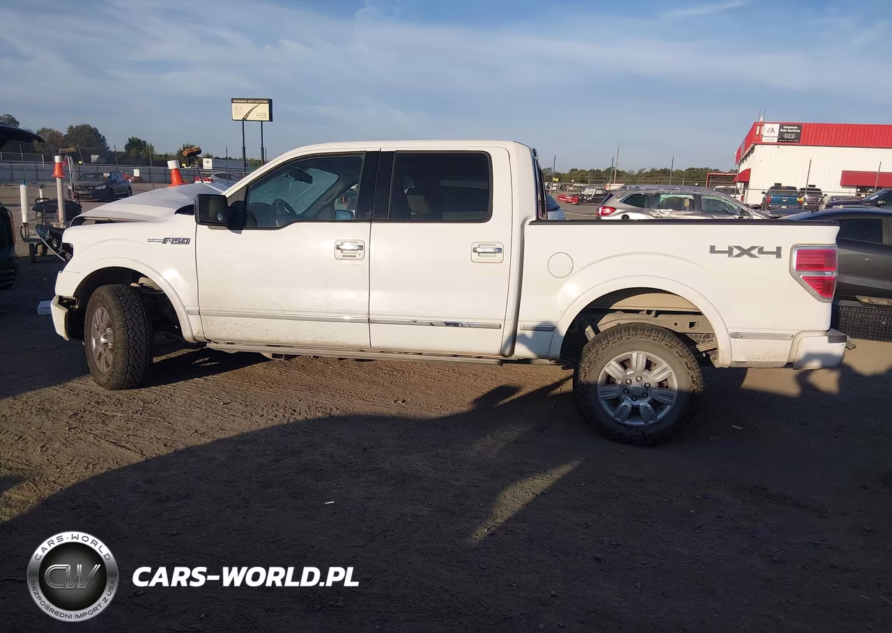 2009 Ford F-150 Fx4-King Ranch-Lariat-Platinum-Xl-Xlt VIN:1FTPW14V29FA64740 - 15
