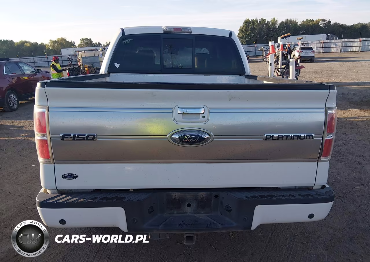 2009 Ford F-150 Fx4-King Ranch-Lariat-Platinum-Xl-Xlt VIN:1FTPW14V29FA64740 - 17