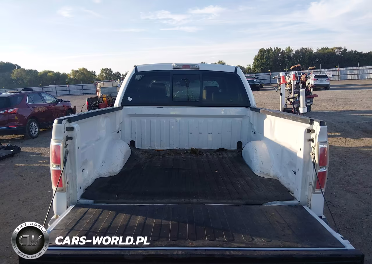 2009 Ford F-150 Fx4-King Ranch-Lariat-Platinum-Xl-Xlt VIN:1FTPW14V29FA64740 - 18