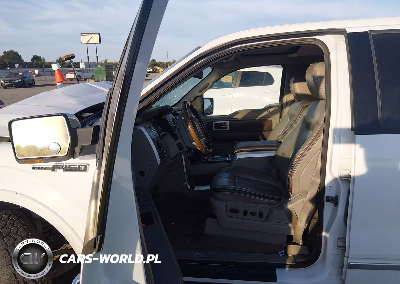 2009 Ford F-150 Fx4-King Ranch-Lariat-Platinum-Xl-Xlt VIN:1FTPW14V29FA64740 - 19