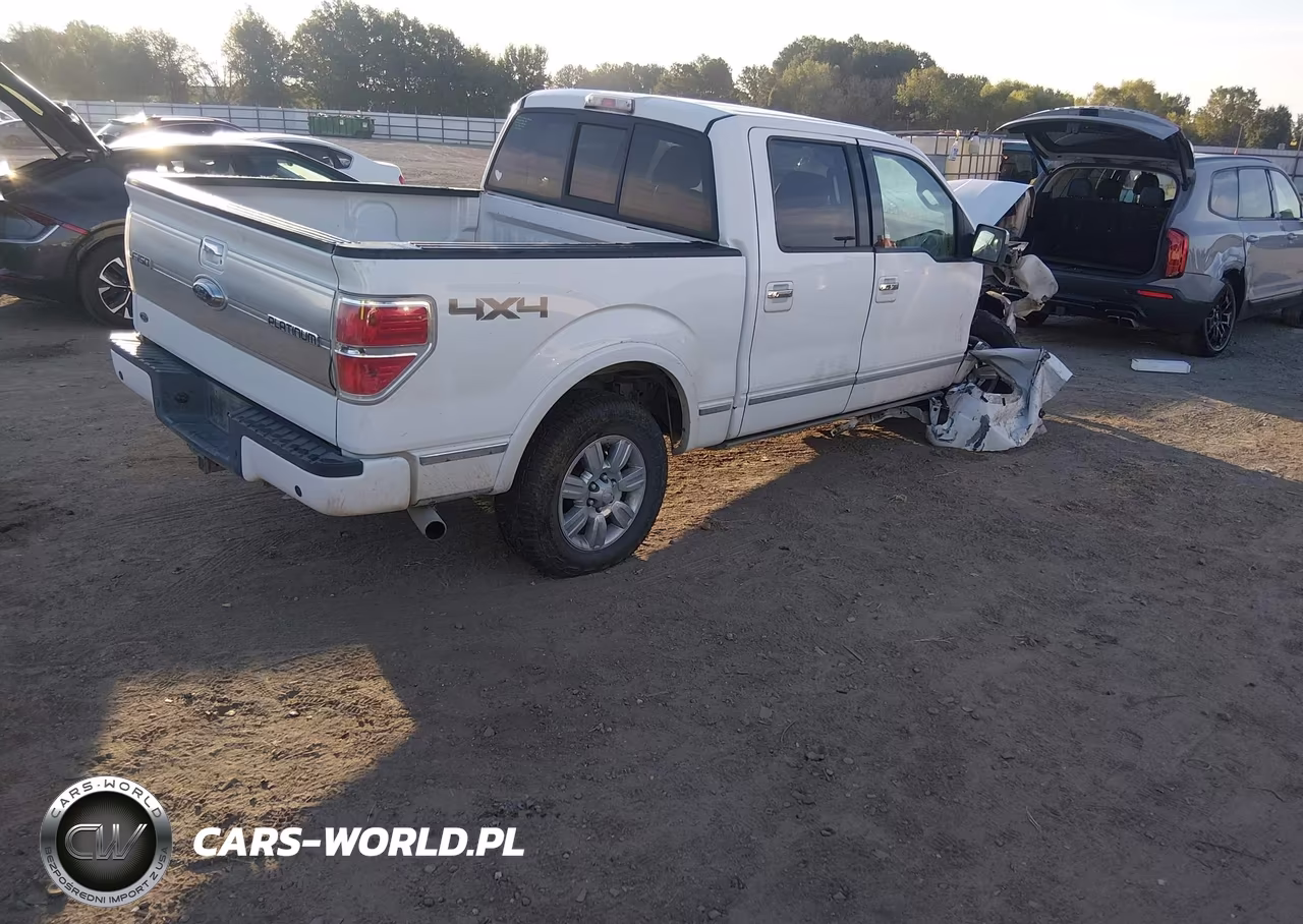 2009 Ford F-150 Fx4-King Ranch-Lariat-Platinum-Xl-Xlt VIN:1FTPW14V29FA64740 - 4