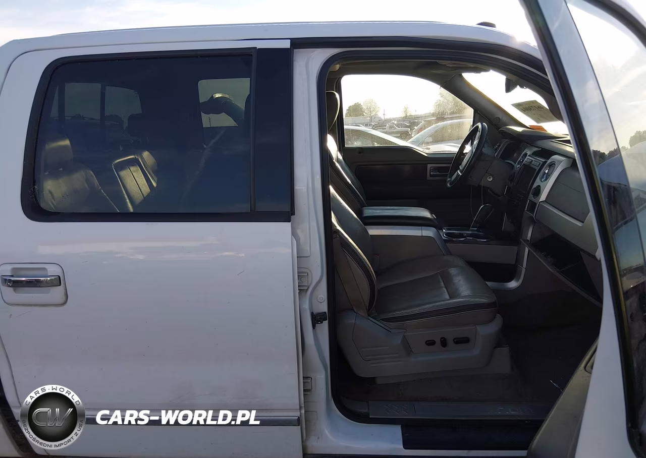2009 Ford F-150 Fx4-King Ranch-Lariat-Platinum-Xl-Xlt VIN:1FTPW14V29FA64740 - 5