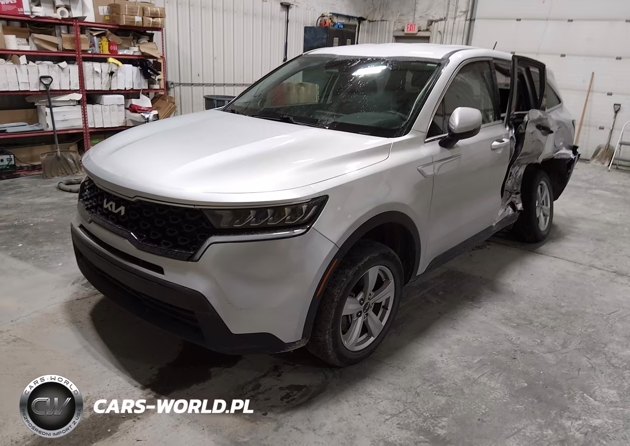 2022 Kia Sorento Lx VIN:5XYRGDLC5NG116523 - 2
