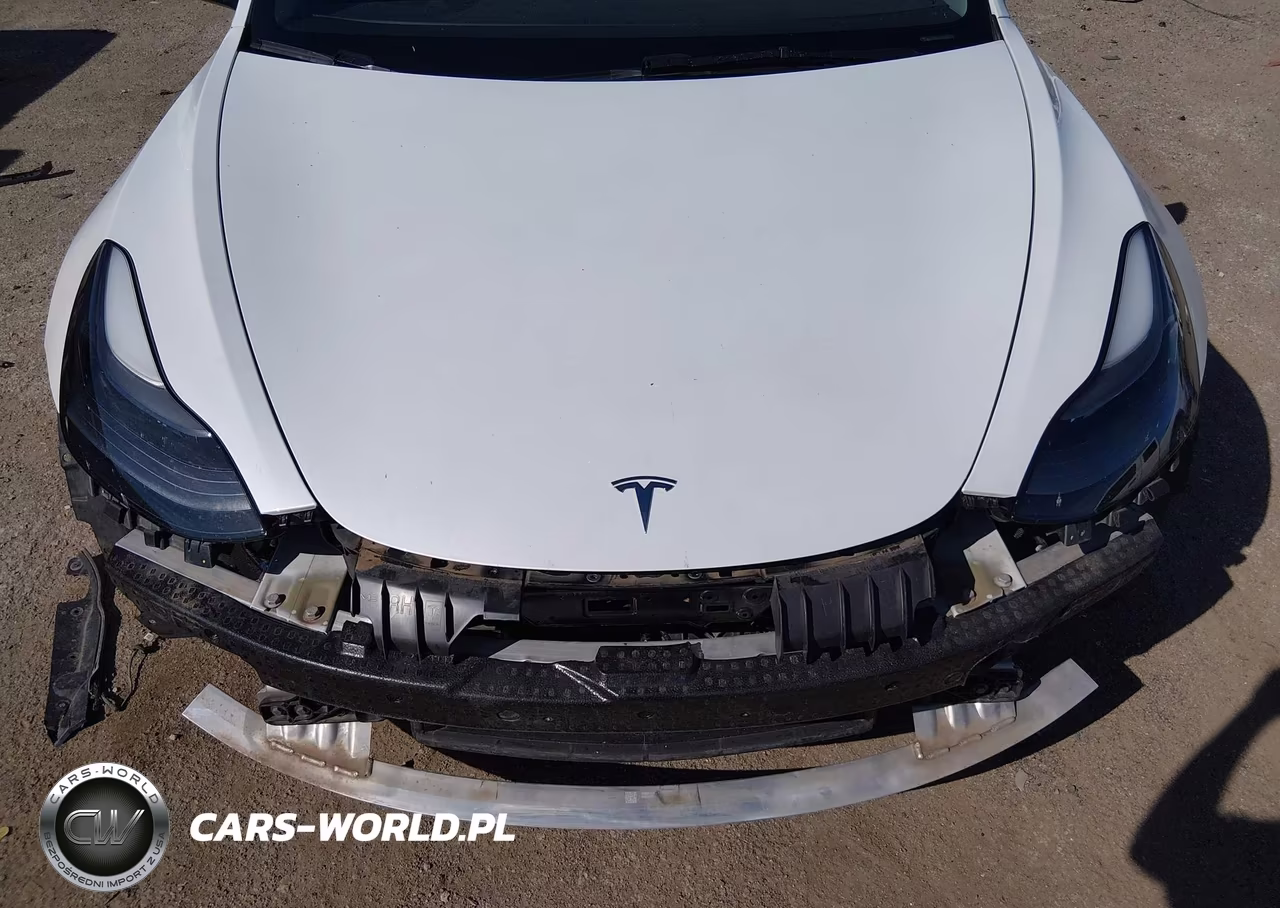 2023 Tesla Model 3 Long Range Dual Motor All-Wheel Drive VIN:5YJ3E1EB7PF393389 - 10